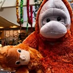 Banner Bild