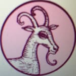 Banner Bild
